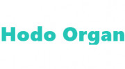 Hodoorgan Web Design