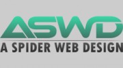 A Spider Web Design